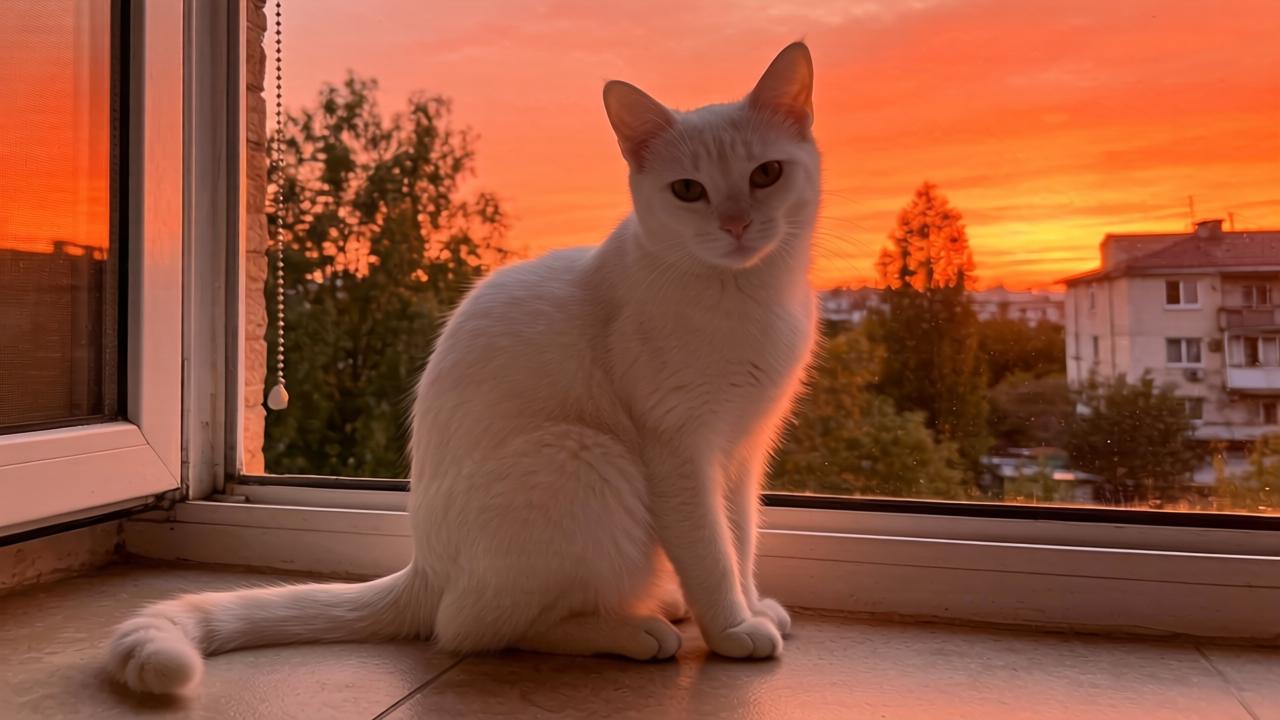 空调温度怎么设置 空调温度设置方法【详解】 空调温度怎么设置 空调温度设置方法【详解】第一张图