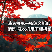 洗衣机甩干桶怎么拆卸清洗 洗衣机甩干桶拆卸清洗方法【详解】(图4) 洗衣机甩干桶怎么拆卸清洗 洗衣机甩干桶拆卸清洗方法【详解】(图4)