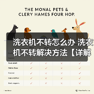 洗衣机不转怎么办 洗衣机不转解决方法【详解】(图3) 洗衣机不转怎么办 洗衣机不转解决方法【详解】(图3)