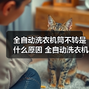 全自动洗衣机筒不转是什么原因 全自动洗衣机筒不转解决方法【详解】(图1) 全自动洗衣机筒不转是什么原因 全自动洗衣机筒不转解决方法【详解】(图1)