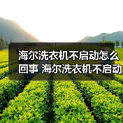 海尔洗衣机不启动怎么回事 海尔洗衣机不启动的原因及解决方法【详解】(图4) 海尔洗衣机不启动怎么回事 海尔洗衣机不启动的原因及解决方法【详解】(图4)