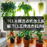 TCL王牌洗衣机怎么拆解 TCL王牌洗衣机拆解指南【详解】(图4) TCL王牌洗衣机怎么拆解 TCL王牌洗衣机拆解指南【详解】(图4)