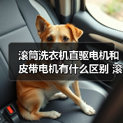 滚筒洗衣机直驱电机和皮带电机有什么区别 滚筒洗衣机直驱电机和皮带电机对比【详解】(图2) 滚筒洗衣机直驱电机和皮带电机有什么区别 滚筒洗衣机直驱电机和皮带电机对比【详解】(图2)