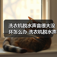 洗衣机脱水声音很大没坏怎么办 洗衣机脱水声音很大没坏的原因【详解】(图1) 洗衣机脱水声音很大没坏怎么办 洗衣机脱水声音很大没坏的原因【详解】(图1)