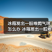 冰箱发出一股难闻气味怎么办 冰箱发出一股难闻气味解决方法【详解】（图4）