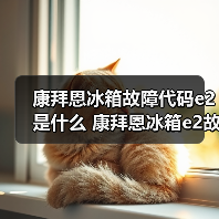 康拜恩冰箱故障代码e2是什么 康拜恩冰箱e2故障码解析【详解】（图1）