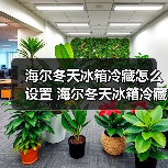 海尔冬天冰箱冷藏怎么设置 海尔冬天冰箱冷藏设置方法【详解】(图4) 海尔冬天冰箱冷藏怎么设置 海尔冬天冰箱冷藏设置方法【详解】(图4)