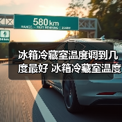 冰箱冷藏室温度调到几度最好 冰箱冷藏室温度设置技巧【详解】(图4) 冰箱冷藏室温度调到几度最好 冰箱冷藏室温度设置技巧【详解】(图4)