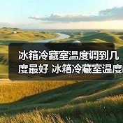 冰箱冷藏室温度调到几度最好 冰箱冷藏室温度设置技巧【详解】(图2) 冰箱冷藏室温度调到几度最好 冰箱冷藏室温度设置技巧【详解】(图2)