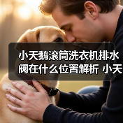 小天鹅滚筒洗衣机排水阀在什么位置解析 小天鹅滚筒洗衣机排水阀位置解析【详解】(图2) 小天鹅滚筒洗衣机排水阀在什么位置解析 小天鹅滚筒洗衣机排水阀位置解析【详解】(图2)
