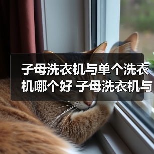 子母洗衣机与单个洗衣机哪个好 子母洗衣机与单个洗衣机的区别【详解】(图2) 子母洗衣机与单个洗衣机哪个好 子母洗衣机与单个洗衣机的区别【详解】(图2)