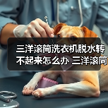 三洋滚筒洗衣机脱水转不起来怎么办 三洋滚筒洗衣机脱水转不起来的解决方法【详解】(图2) 三洋滚筒洗衣机脱水转不起来怎么办 三洋滚筒洗衣机脱水转不起来的解决方法【详解】(图2)