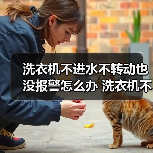 洗衣机不进水不转动也没报警怎么办 洗衣机不进水不转动也没报警的解决方法【详解】(图1) 洗衣机不进水不转动也没报警怎么办 洗衣机不进水不转动也没报警的解决方法【详解】(图1)