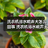 洗衣机排水响声大怎么回事 洗衣机排水响声大的解决方法【详解】(图1) 洗衣机排水响声大怎么回事 洗衣机排水响声大的解决方法【详解】(图1)