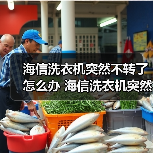 海信洗衣机突然不转了怎么办 海信洗衣机突然不转了的解决方法【详解】(图2) 海信洗衣机突然不转了怎么办 海信洗衣机突然不转了的解决方法【详解】(图2)