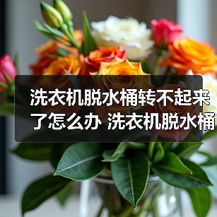 洗衣机脱水桶转不起来了怎么办 洗衣机脱水桶转不起来的解决方法【详解】(图1) 洗衣机脱水桶转不起来了怎么办 洗衣机脱水桶转不起来的解决方法【详解】(图1)