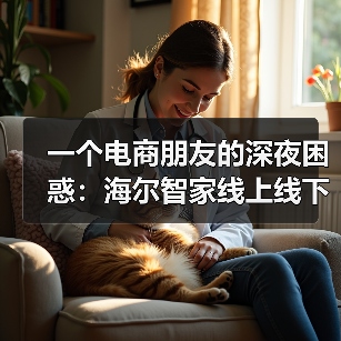 一个电商朋友的深夜困惑:海尔智家线上线下份额双居行业第一(图4) 一个电商朋友的深夜困惑:海尔智家线上线下份额双居行业第一(图4)