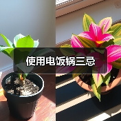 使用电饭锅三忌（图4）