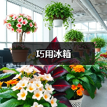 巧用冰箱(图1) 巧用冰箱(图1)