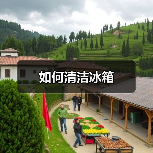 如何清洁冰箱(图4) 如何清洁冰箱(图4)