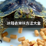 冰箱去异味方法大全（图2）