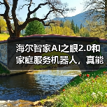 海尔智家AI之眼2.0和家庭服务机器人,真能替人干活?(图3) 海尔智家AI之眼2.0和家庭服务机器人,真能替人干活?(图3)
