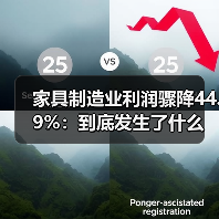 家具制造业利润骤降44.9%:到底发生了什么(图4) 家具制造业利润骤降44.9%:到底发生了什么(图4)