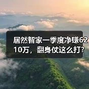 居然智家一季度净赚6210万,翻身仗这么打?(图4) 居然智家一季度净赚6210万,翻身仗这么打?(图4)