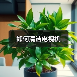 如何清洁电视机(图1) 如何清洁电视机(图1)