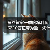 居然智家一季度净利润6210万扭亏为盈，凭什么？（图3）