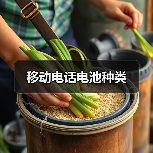 移动电话电池种类（图3）