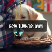 彩色电视机的响声(图2) 彩色电视机的响声(图2)