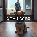 彩色电视机的响声(图3) 彩色电视机的响声(图3)