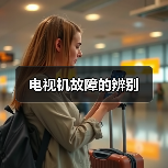电视机故障的辨别(图4) 电视机故障的辨别(图4)