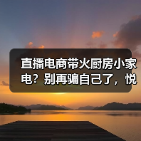 直播电商带火厨房小家电?别再骗自己了,悦己就是冲动消费(图3) 直播电商带火厨房小家电?别再骗自己了,悦己就是冲动消费(图3)