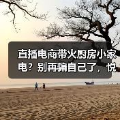 直播电商带火厨房小家电?别再骗自己了,悦己就是冲动消费(图4) 直播电商带火厨房小家电?别再骗自己了,悦己就是冲动消费(图4)