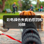 彩电颜色失真的原因和排除(图2) 彩电颜色失真的原因和排除(图2)