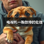 电视机一般故障的处理(图4) 电视机一般故障的处理(图4)