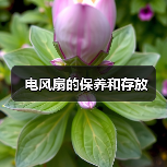 电风扇的保养和存放(图3) 电风扇的保养和存放(图3)