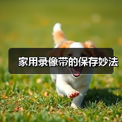 家用录像带的保存妙法（图1）