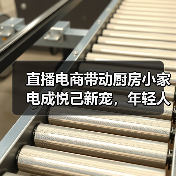 直播电商带动厨房小家电成悦己新宠，年轻人到底在买什么？（图1）