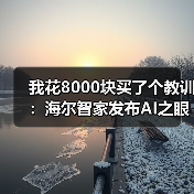 我花8000块买了个教训:海尔智家发布AI之眼2.0和家庭服务机器人到底值不值(图3) 我花8000块买了个教训:海尔智家发布AI之眼2.0和家庭服务机器人到底值不值(图3)