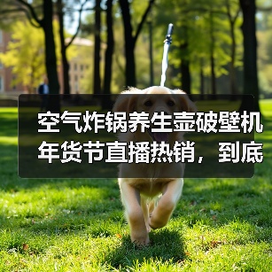 空气炸锅养生壶破壁机年货节直播热销,到底谁在买单?(图1) 空气炸锅养生壶破壁机年货节直播热销,到底谁在买单?(图1)