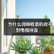 为什么调频收录机收不到电视伴音（图1）
