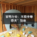 家电行业：不能坐等“春天”到来（图2）