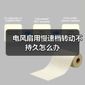 电风扇用慢速档转动不持久怎么办（图3）