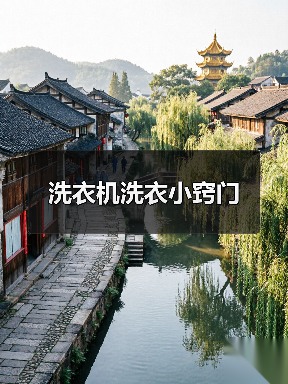 洗衣机洗衣小窍门（图2）