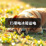 巧使电冰箱省电（图2）