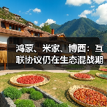 鸿蒙、米家、博西:互联协议仍在生态混战期(图4) 鸿蒙、米家、博西:互联协议仍在生态混战期(图4)