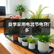 夏季家用电器节电窍门多（图2）